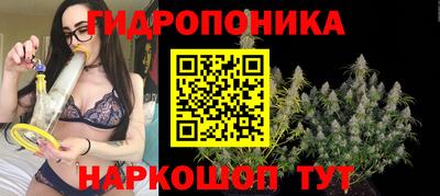 PSILOCYBIN Усть-Илимск