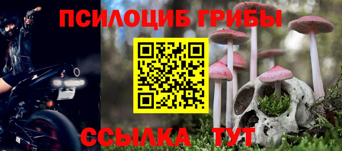 Тобольск  Псилоцибиновые грибы Magic Shrooms  Вход с VPN 