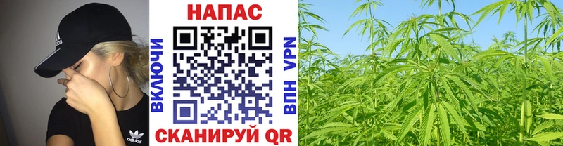 МАРИХУАНА THC 21%  что такое   блэк спрут рабочий сайт  Тобольск 